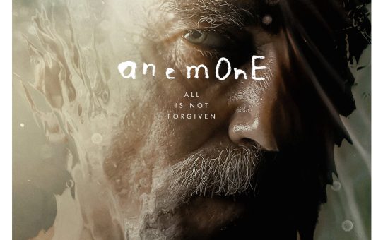 Anemone