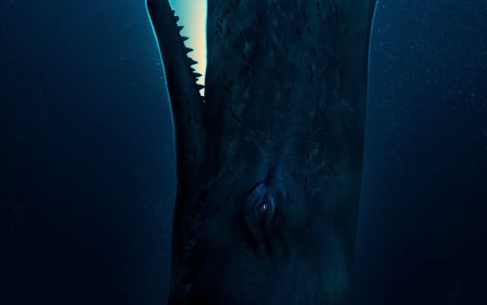 Whalefall